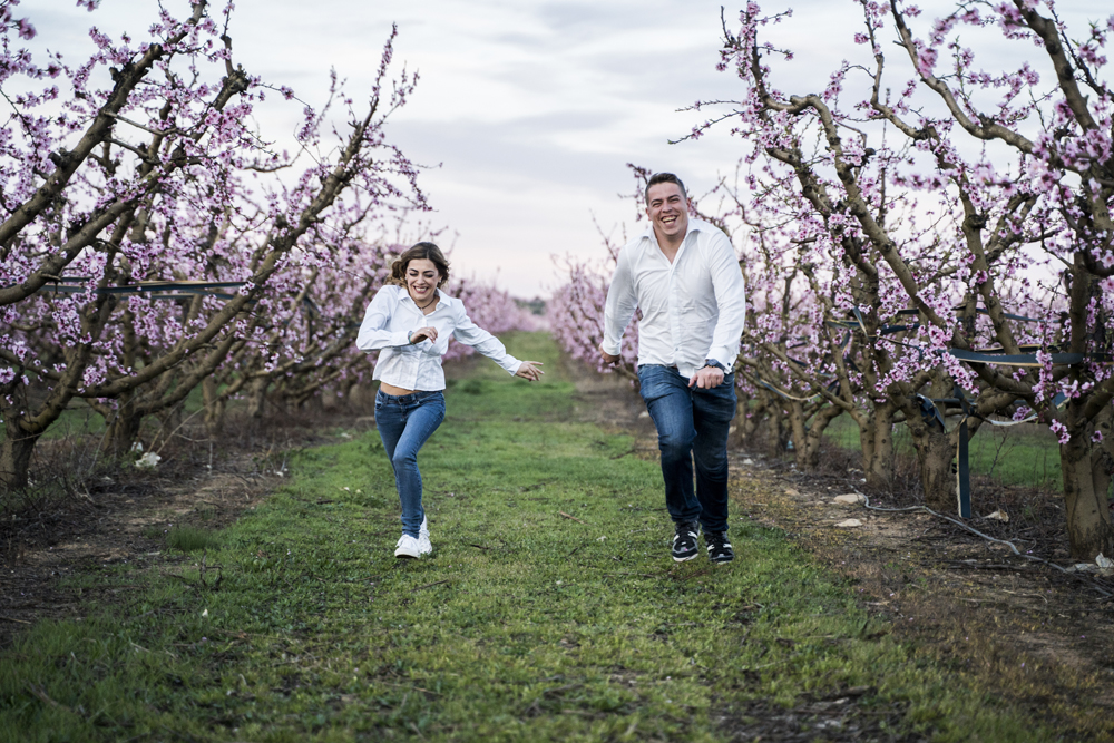 preboda lleida