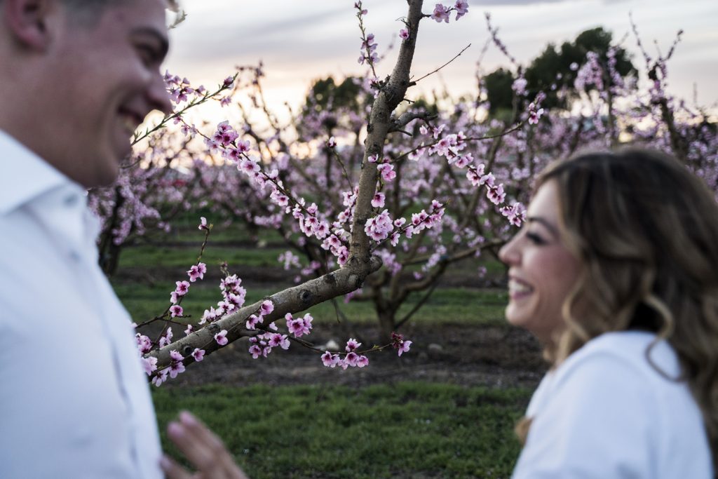 preboda lleida